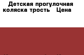 Детская прогулочная коляска-трость › Цена ­ 3 000 - Калужская обл., Калуга г. Дети и материнство » Коляски и переноски   . Калужская обл.,Калуга г.